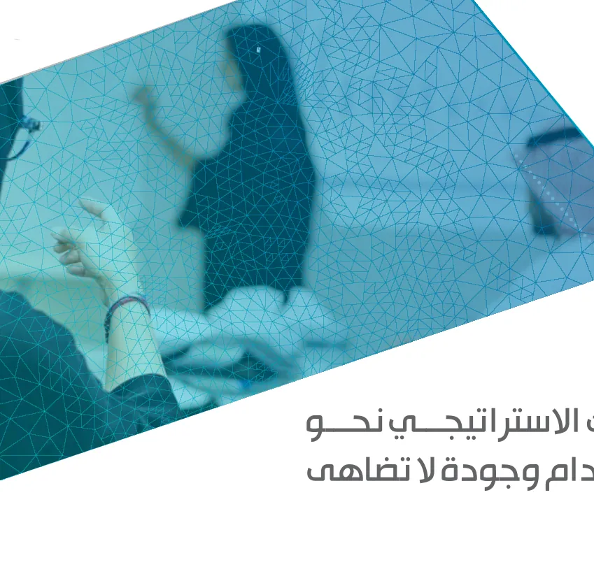 فريق كيانات المتحدة أثناء التخطيط